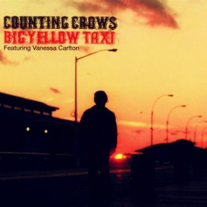 Big Yellow Taxi [radio edit]